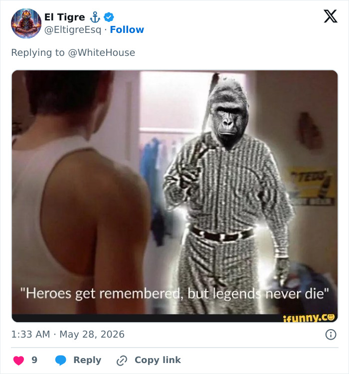 From Viral Memes To Heartfelt Tributes, Harambe&rsquo;s 10th Anniversary Sparks Frenzy With White House In The Mix