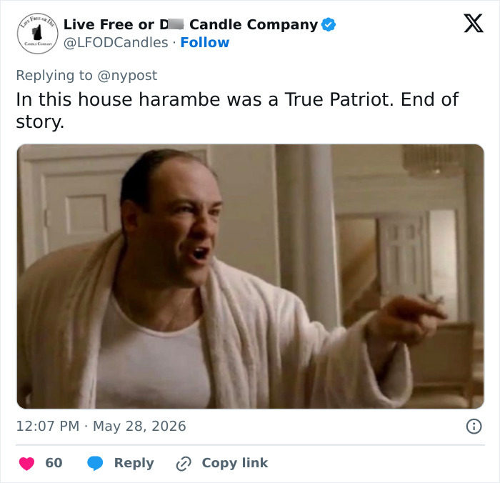 From Viral Memes To Heartfelt Tributes, Harambe&rsquo;s 10th Anniversary Sparks Frenzy With White House In The Mix