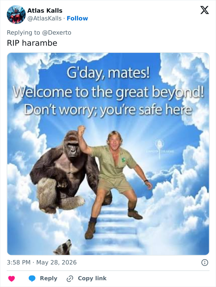 From Viral Memes To Heartfelt Tributes, Harambe&rsquo;s 10th Anniversary Sparks Frenzy With White House In The Mix