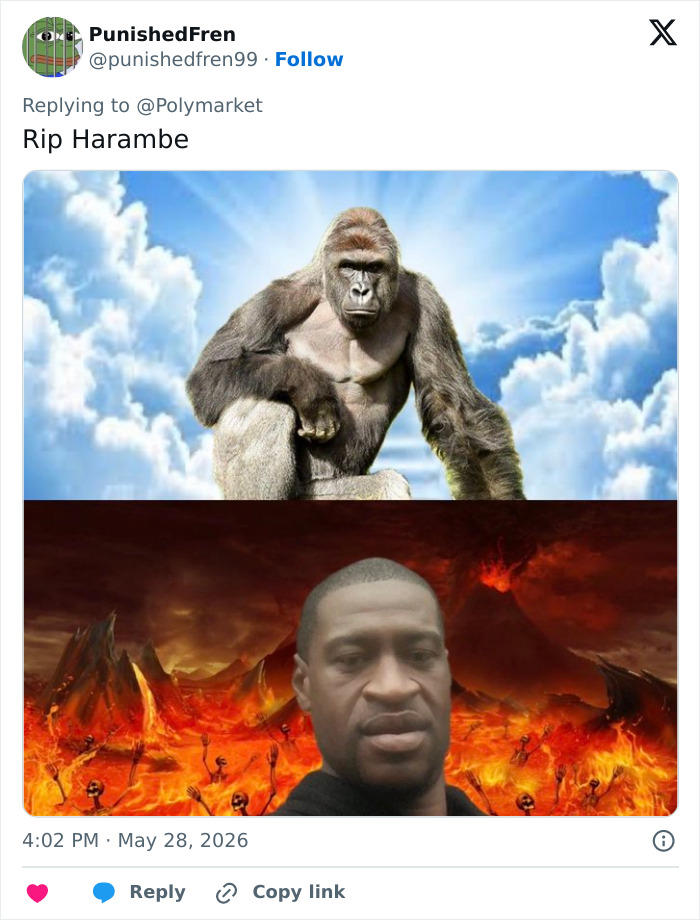 From Viral Memes To Heartfelt Tributes, Harambe&rsquo;s 10th Anniversary Sparks Frenzy With White House In The Mix
