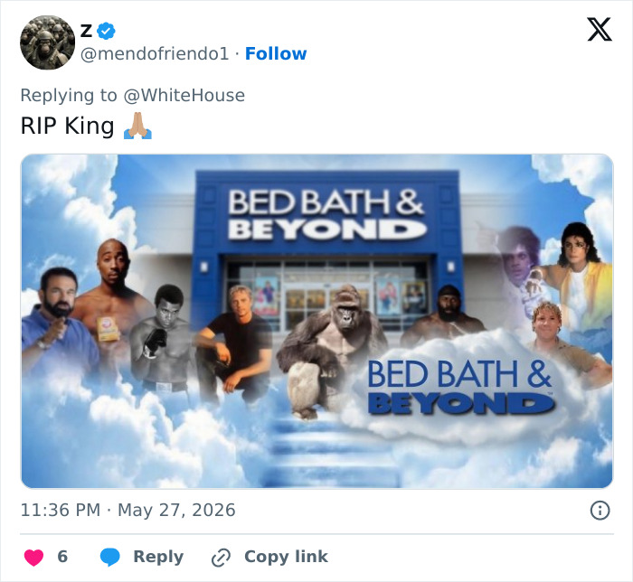 From Viral Memes To Heartfelt Tributes, Harambe&rsquo;s 10th Anniversary Sparks Frenzy With White House In The Mix