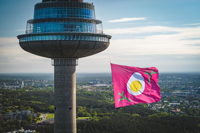 Iconic Pink Soup Inspires Capital Of Lithuania To Start A Tradition Of Coloring The City In Pink Iconic Pink Soup Inspires Capital Of Lithuania To Start A Tradition Of Coloring The City In Pink