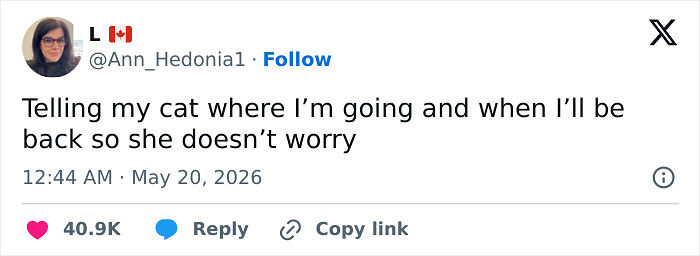 54 Times People Had The Funniest Thoughts And Voiced Them On X (May Edition) 54 Times People Had The Funniest Thoughts And Voiced Them On X (May Edition)