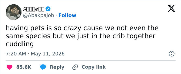 54 Times People Had The Funniest Thoughts And Voiced Them On X (May Edition) 54 Times People Had The Funniest Thoughts And Voiced Them On X (May Edition)