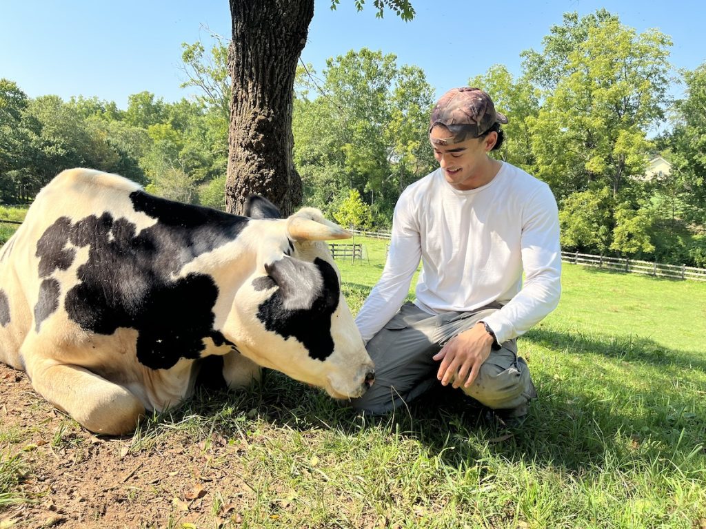 A Father, A Daughter, And Two Rescued Calves: The Unforgettable 600-Mile Journey Behind “Cow Trip” A Father, A Daughter, And Two Rescued Calves: The Unforgettable 600-Mile Journey Behind “Cow Trip”