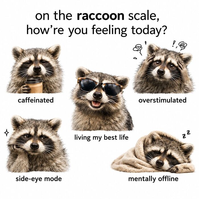 This Page Shares Funny Pics Of Raccoons That Prove They May Be The Cutest Animal Ever (47 Pics) This Page Shares Funny Pics Of Raccoons That Prove They May Be The Cutest Animal Ever (47 Pics)