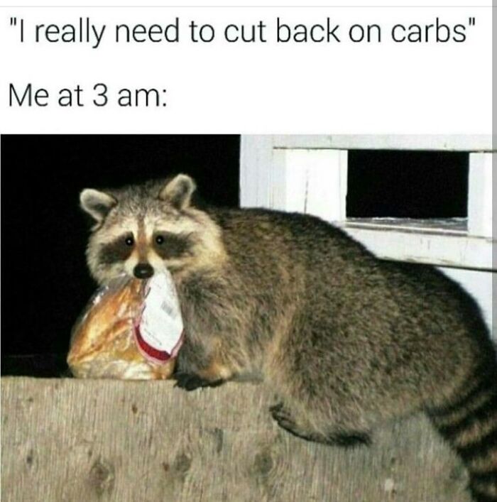 This Page Shares Funny Pics Of Raccoons That Prove They May Be The Cutest Animal Ever (47 Pics) This Page Shares Funny Pics Of Raccoons That Prove They May Be The Cutest Animal Ever (47 Pics)