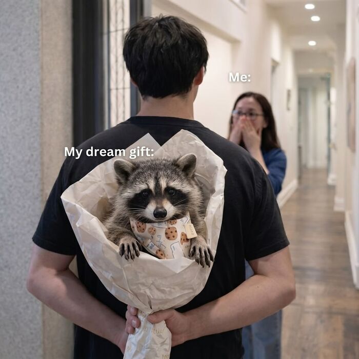 This Page Shares Funny Pics Of Raccoons That Prove They May Be The Cutest Animal Ever (47 Pics) This Page Shares Funny Pics Of Raccoons That Prove They May Be The Cutest Animal Ever (47 Pics)