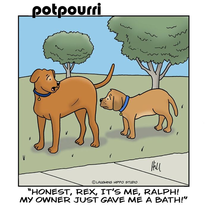 ‘Laughing Hippo Studio’: 100 Most Loved Cartoons By Our Community ‘Laughing Hippo Studio’: 100 Most Loved Cartoons By Our Community