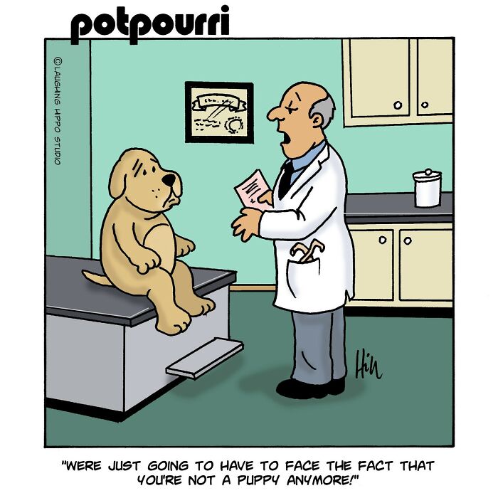 ‘Laughing Hippo Studio’: 100 Most Loved Cartoons By Our Community ‘Laughing Hippo Studio’: 100 Most Loved Cartoons By Our Community