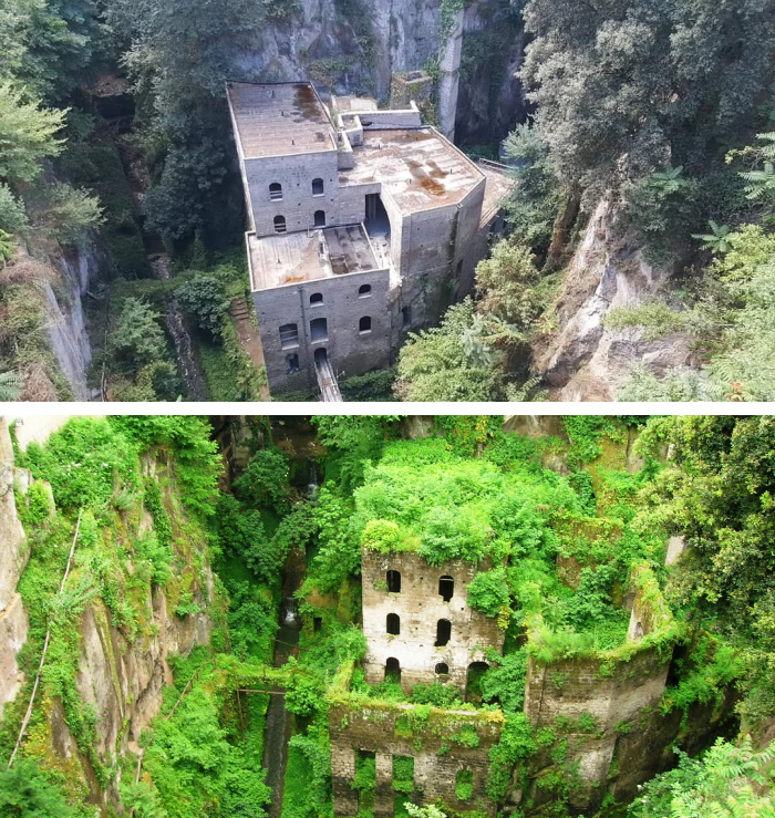 “Nature’s Memorial”: 30 Landmarks Reclaimed By Nature “Nature’s Memorial”: 30 Landmarks Reclaimed By Nature