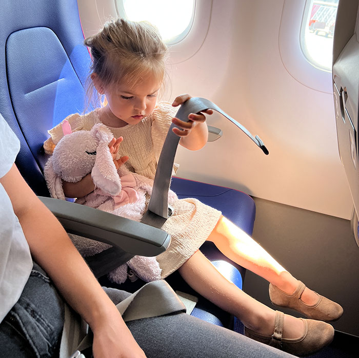 &ldquo;Not Ask, But Demand&rdquo;: Woman Shocked By People&rsquo;s Audacity After Flying With A Toddler For The First Time