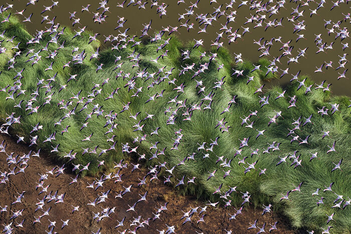 This Photographer Captures The Hidden Patterns That Make Nature Look Like Art (20 Images)