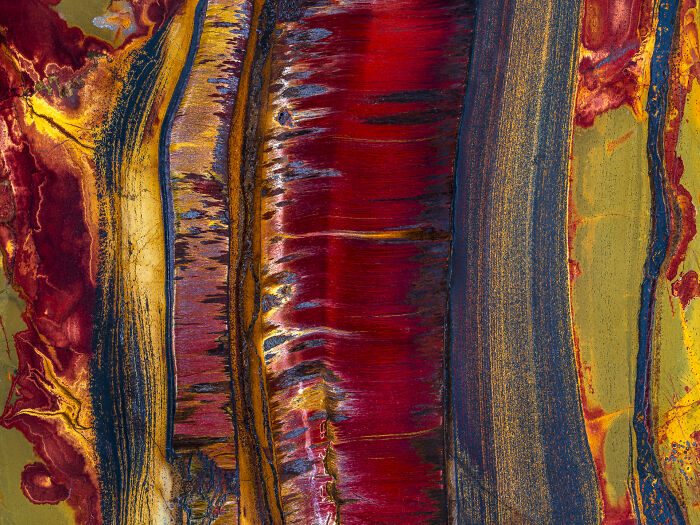 This Photographer Captures The Hidden Patterns That Make Nature Look Like Art (20 Images)
