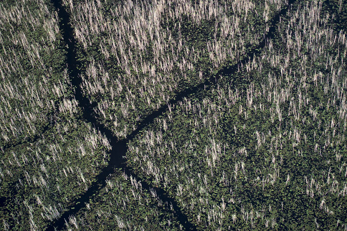 This Photographer Captures The Hidden Patterns That Make Nature Look Like Art (20 Images)