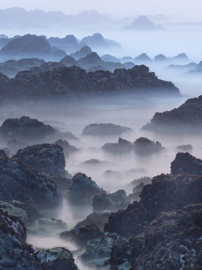 This Photographer Captures The Hidden Patterns That Make Nature Look Like Art (20 Images)