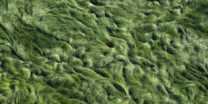 This Photographer Captures The Hidden Patterns That Make Nature Look Like Art (20 Images)