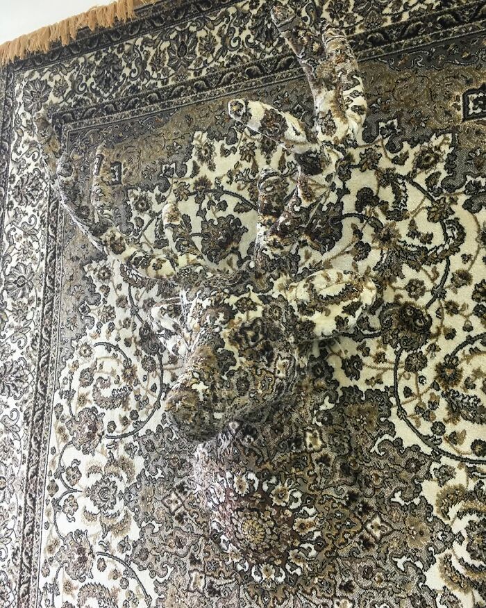 This Artist Turns Persian Carpets Into Surreal Animal Sculptures (23 Pics)
