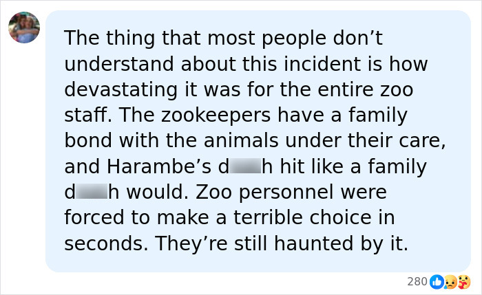 A Decade Later, Harambe Remains At The Center Of One Of The Most Controversial Zoo Incidents Ever