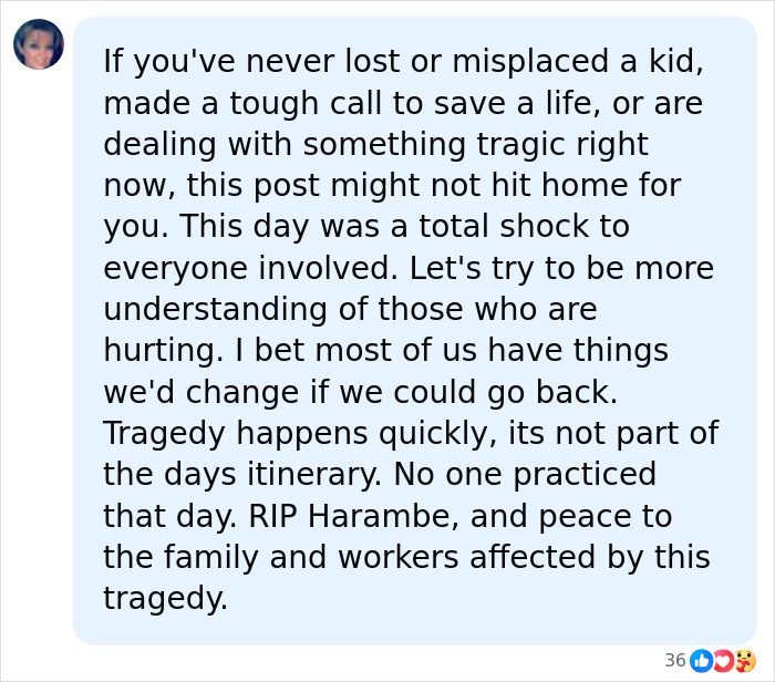 A Decade Later, Harambe Remains At The Center Of One Of The Most Controversial Zoo Incidents Ever