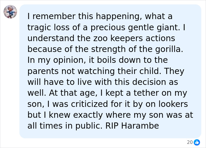 A Decade Later, Harambe Remains At The Center Of One Of The Most Controversial Zoo Incidents Ever