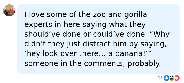 A Decade Later, Harambe Remains At The Center Of One Of The Most Controversial Zoo Incidents Ever