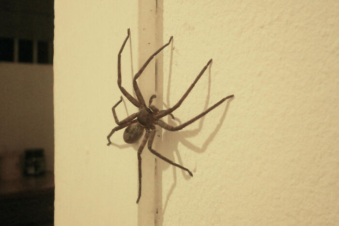 33 Stories That Prove Sometimes The Real Nightmare Starts After You Wake Up