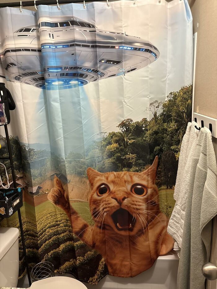 64 Quirky And Hilarious Shower Curtains That Perfectly Show People’s Personalities