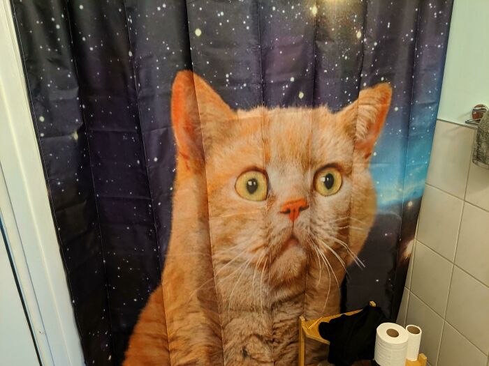 64 Quirky And Hilarious Shower Curtains That Perfectly Show People’s Personalities