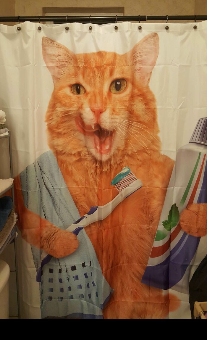 64 Quirky And Hilarious Shower Curtains That Perfectly Show People’s Personalities