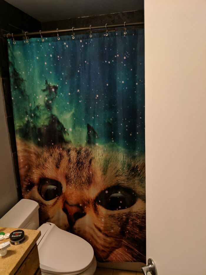 64 Quirky And Hilarious Shower Curtains That Perfectly Show People’s Personalities