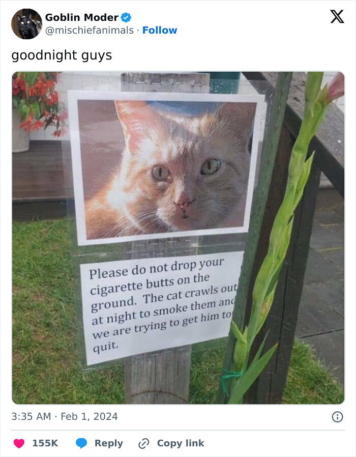 87 Unhinged And Entertaining Neighbor Antics Shared By This X Page (New Pics) 87 Unhinged And Entertaining Neighbor Antics Shared By This X Page (New Pics)