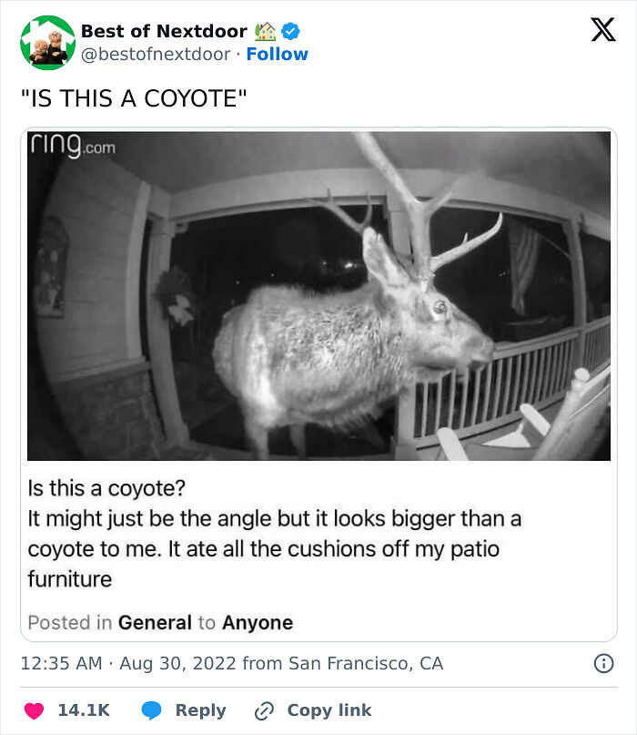 87 Unhinged And Entertaining Neighbor Antics Shared By This X Page (New Pics) 87 Unhinged And Entertaining Neighbor Antics Shared By This X Page (New Pics)