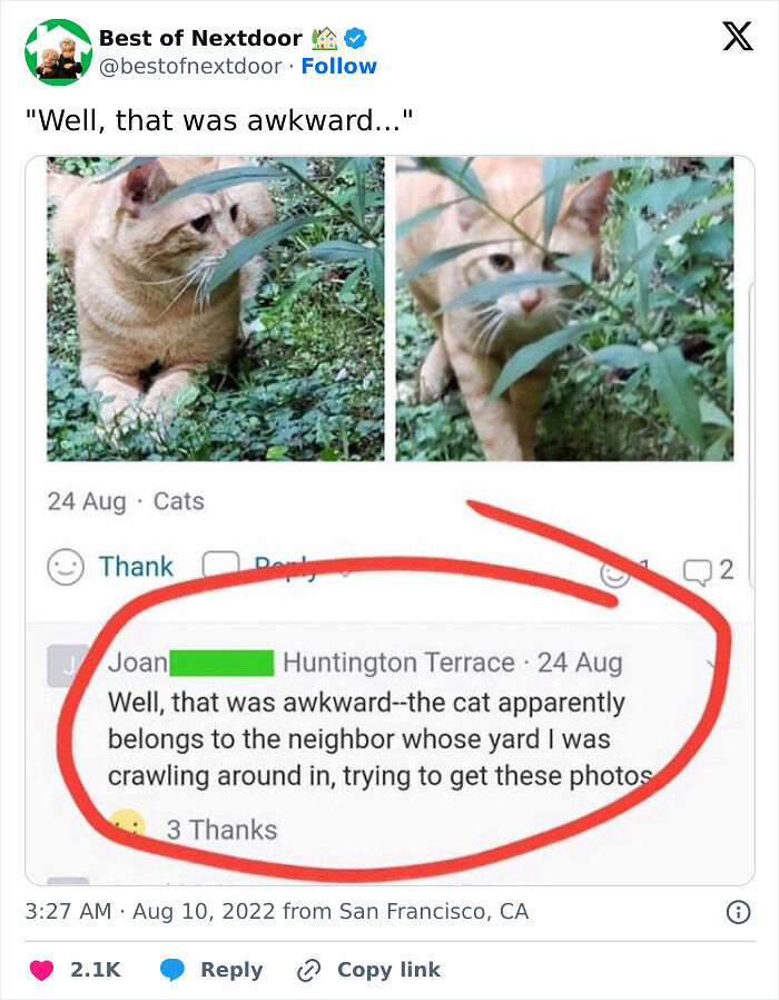 87 Unhinged And Entertaining Neighbor Antics Shared By This X Page (New Pics) 87 Unhinged And Entertaining Neighbor Antics Shared By This X Page (New Pics)