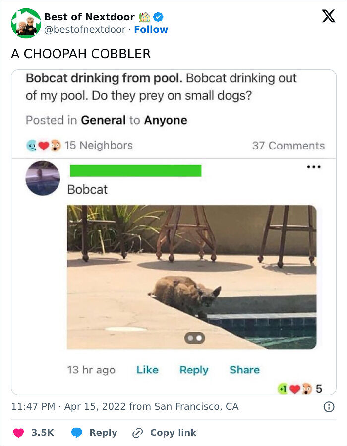 87 Unhinged And Entertaining Neighbor Antics Shared By This X Page (New Pics) 87 Unhinged And Entertaining Neighbor Antics Shared By This X Page (New Pics)