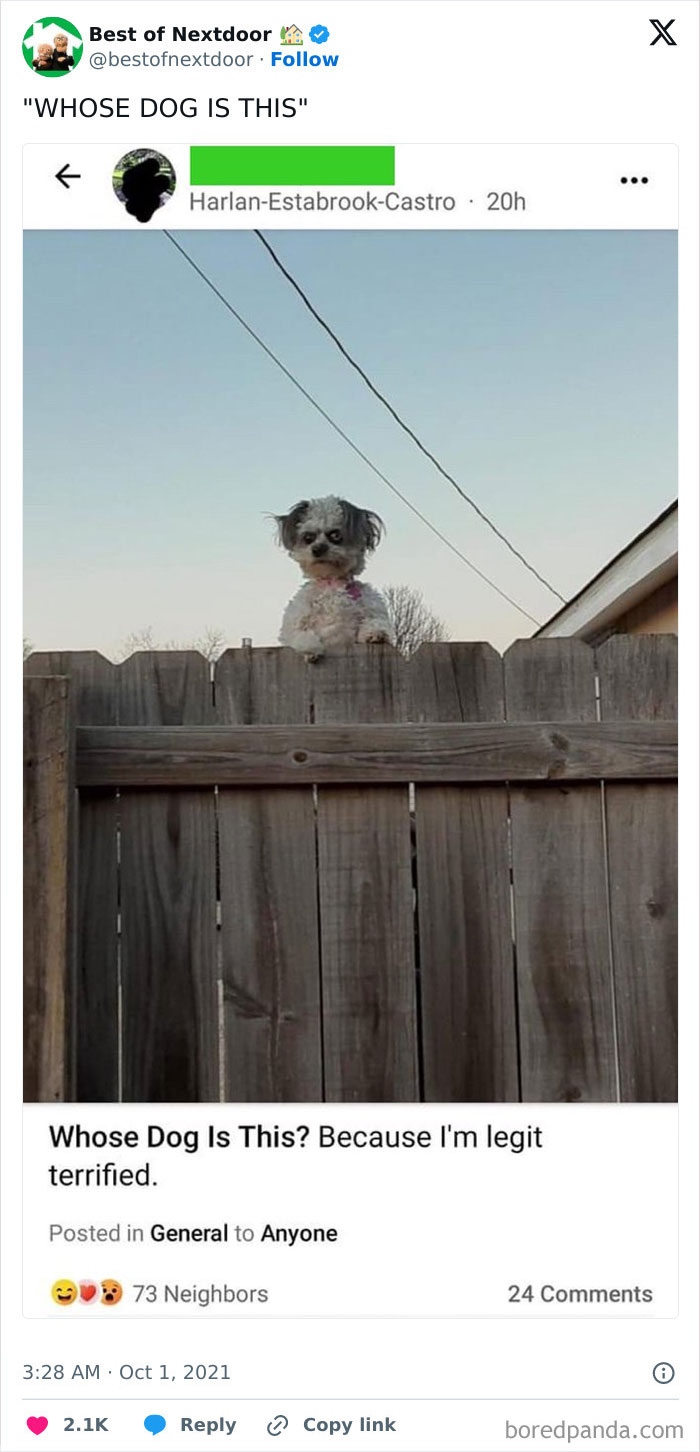 87 Unhinged And Entertaining Neighbor Antics Shared By This X Page (New Pics) 87 Unhinged And Entertaining Neighbor Antics Shared By This X Page (New Pics)