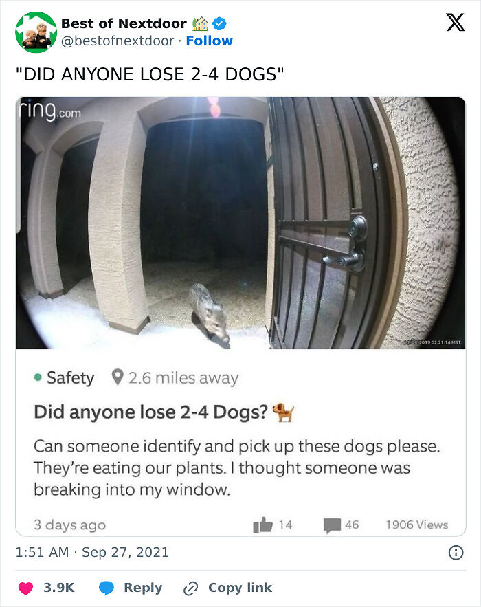 87 Unhinged And Entertaining Neighbor Antics Shared By This X Page (New Pics) 87 Unhinged And Entertaining Neighbor Antics Shared By This X Page (New Pics)