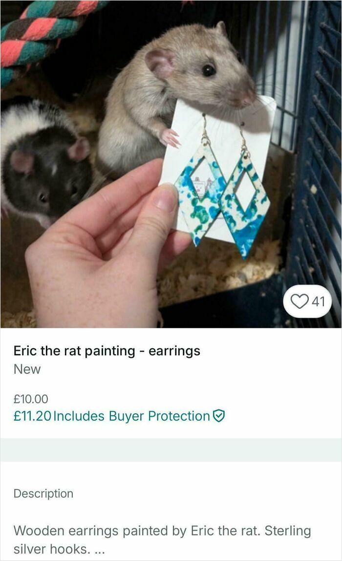 69 Photos That Show The Next-Level Stupidity People Encountered While Using Vinted (New Pics)