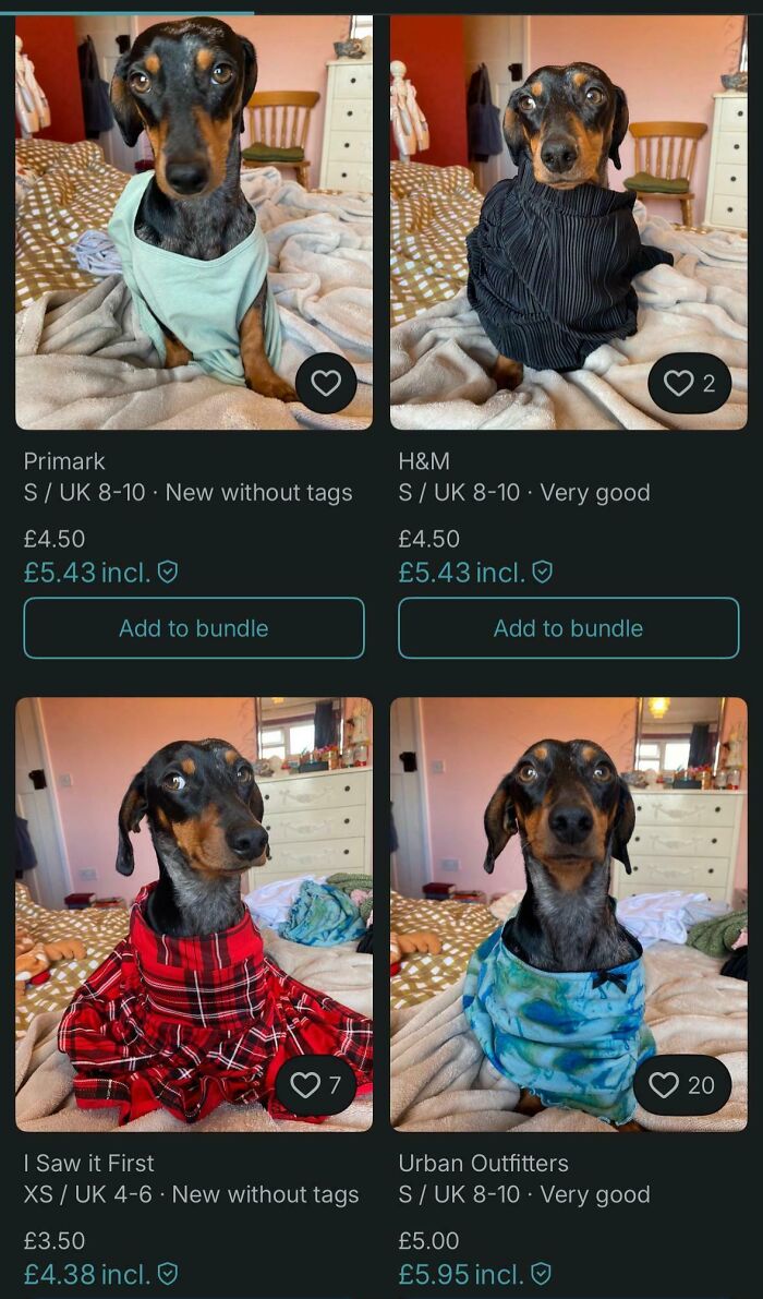 69 Photos That Show The Next-Level Stupidity People Encountered While Using Vinted (New Pics)
