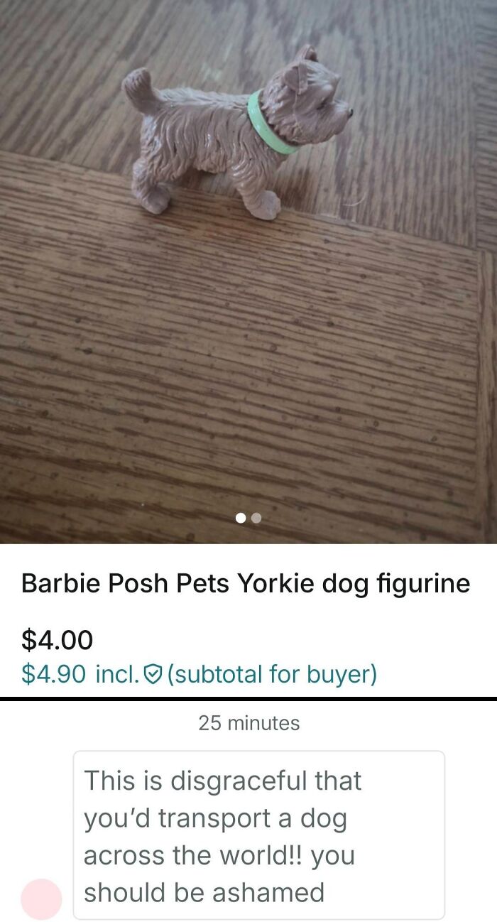 69 Photos That Show The Next-Level Stupidity People Encountered While Using Vinted (New Pics)