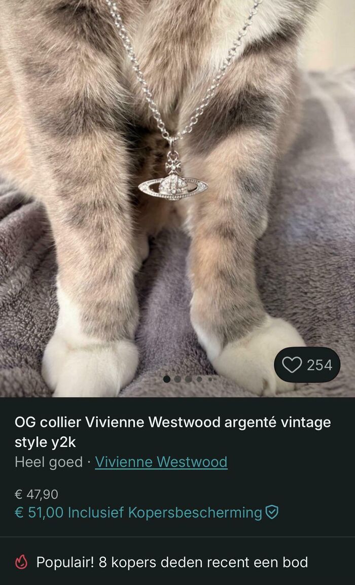 69 Photos That Show The Next-Level Stupidity People Encountered While Using Vinted (New Pics)