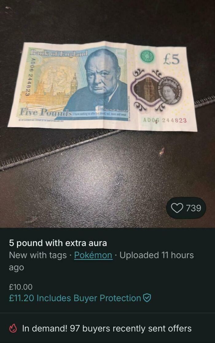 69 Photos That Show The Next-Level Stupidity People Encountered While Using Vinted (New Pics)