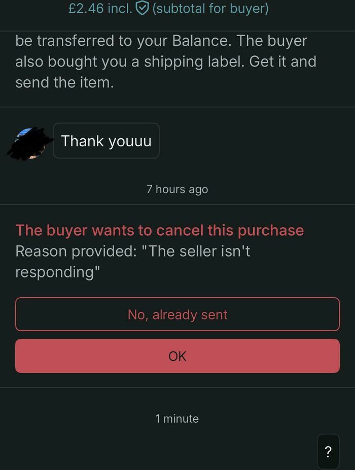 69 Photos That Show The Next-Level Stupidity People Encountered While Using Vinted (New Pics)