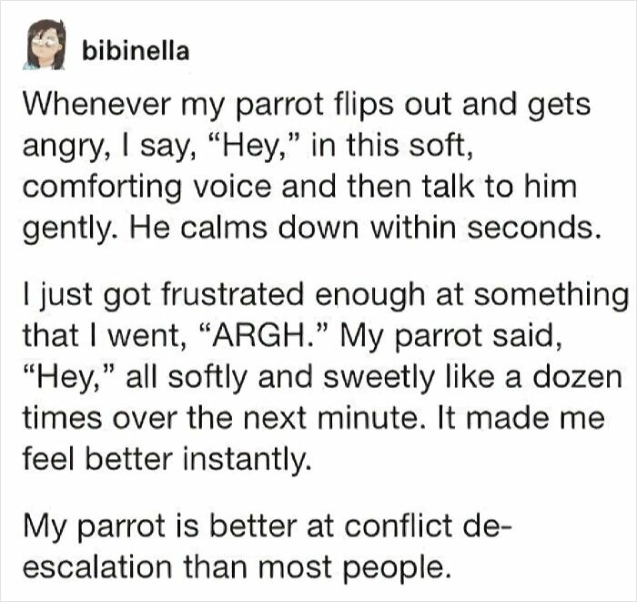 77 Pure And Funny Animal Memes To Calm Your Brain (New Pics)