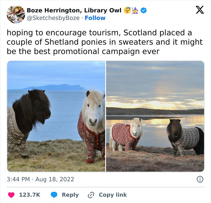 77 Pure And Funny Animal Memes To Calm Your Brain (New Pics)