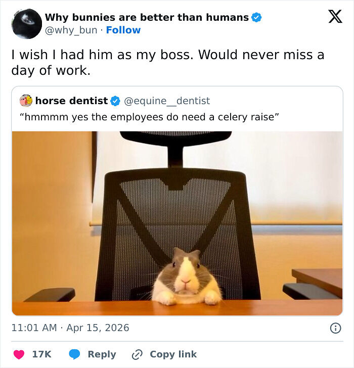 77 Pure And Funny Animal Memes To Calm Your Brain (New Pics)