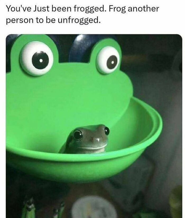 77 Pure And Funny Animal Memes To Calm Your Brain (New Pics)