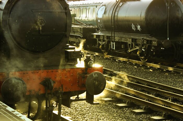 48 Facts People Know Are True, But They Still Shock Them