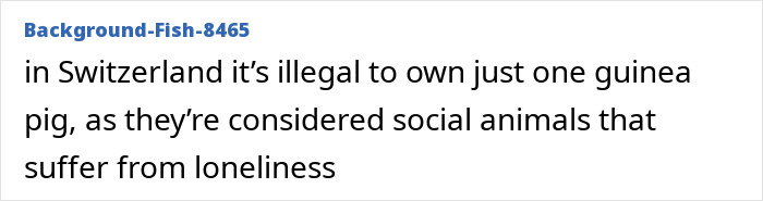 “Flip-Flops Are Banned”: 55 Unexpectedly Weird Laws From Countries All Around The World “Flip-Flops Are Banned”: 55 Unexpectedly Weird Laws From Countries All Around The World