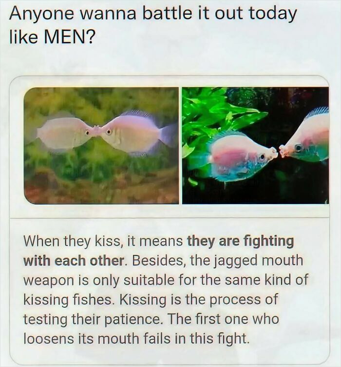 89 Random Images That Make Absolutely No Sense And Are Weird As Hell 89 Random Images That Make Absolutely No Sense And Are Weird As Hell